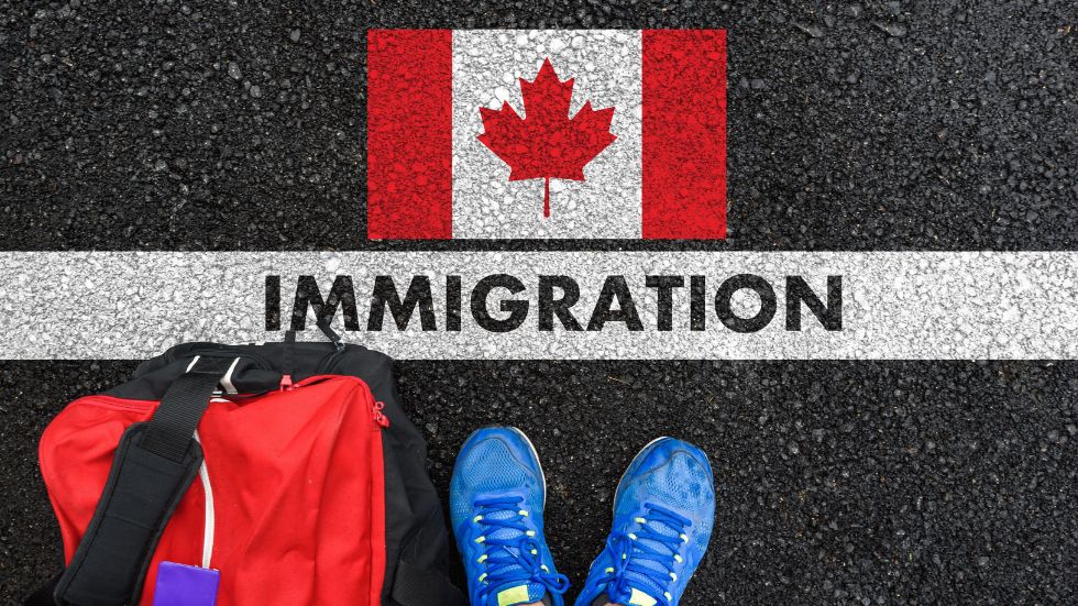 bff canada imigracao